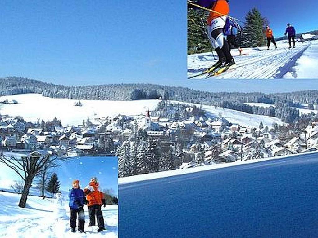 Appartmentvermietung Terrassenpark Schonach Schonach im Schwarzwald Luaran gambar