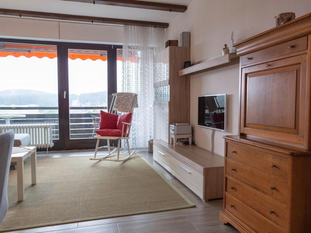 Appartmentvermietung Terrassenpark Schonach Schonach im Schwarzwald Luaran gambar